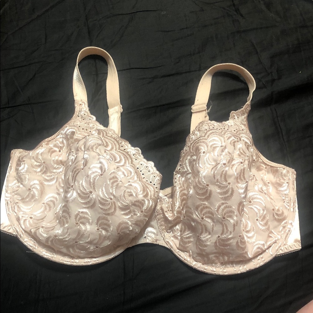Lace Embroidered Underwire Bra - Cream lovable 42DD